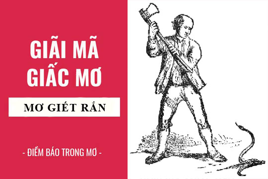  Mơ thấy giết rắn là điềm báo gì