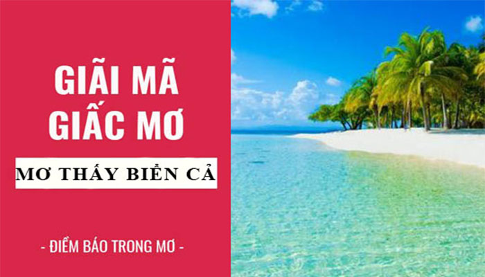 Mơ thấy biển có điềm báo gì?