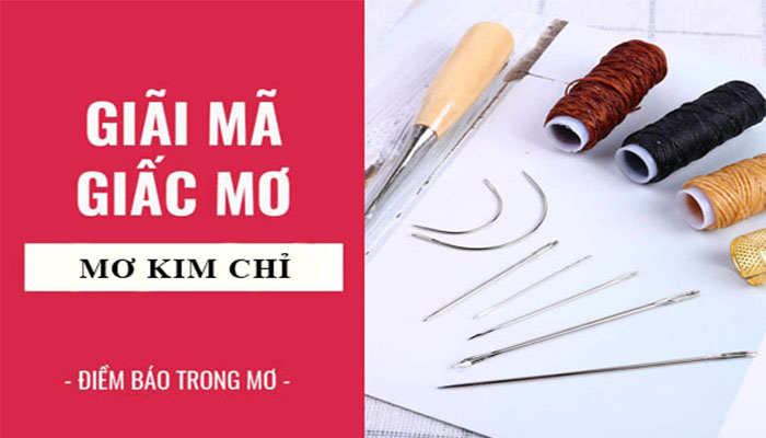 Mơ thấy cây kim có điềm báo đặc biệt gì?