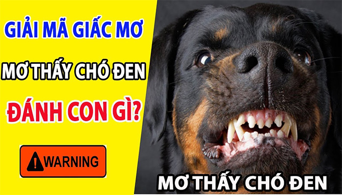 Mơ thấy cho đen, cho mực có điềm báo gì