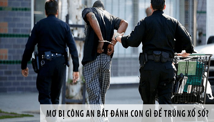 Mơ công an bắt đánh con gì chính xác? 