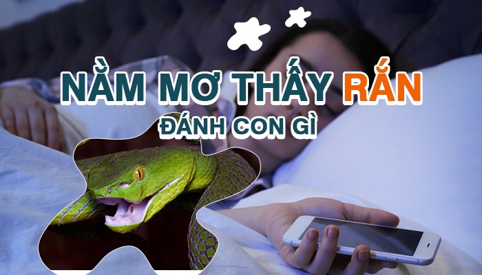 Mơ thấy 2 con rắn là điềm báo gì? 