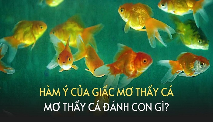 Mơ thấy cá đánh con gì chính xác?