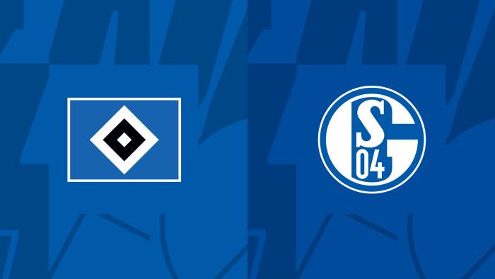 Soi kèo bóng đá Hamburger vs Schalke 04 – Hạng 2 Đức – 29/07/2023